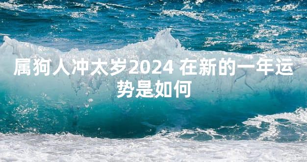 属狗人冲太岁2024 在新的一年运势是如何